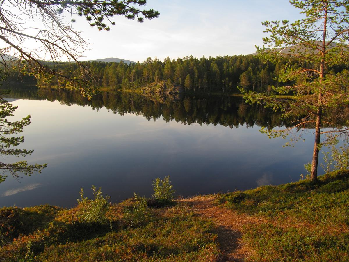 Malangen Lodge Mestervik Екстер'єр фото