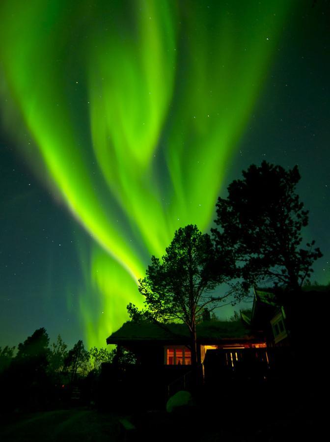 Malangen Lodge Mestervik Екстер'єр фото