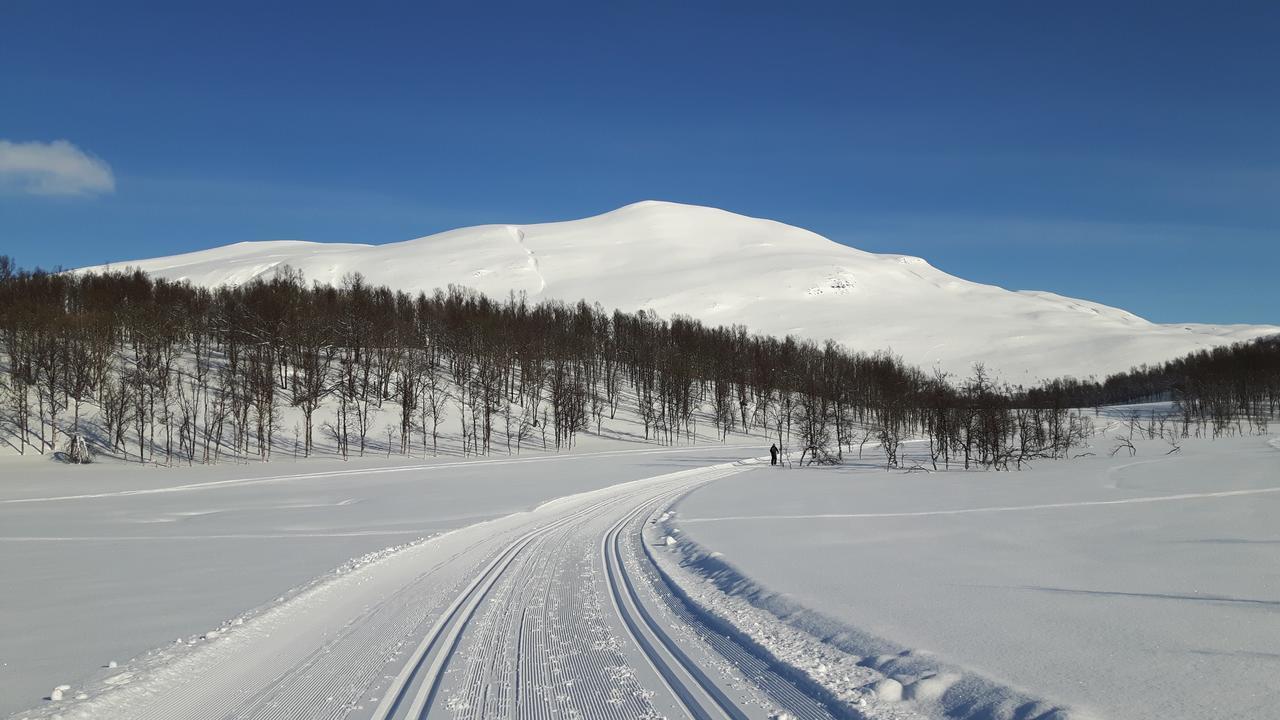 Malangen Lodge Mestervik Екстер'єр фото